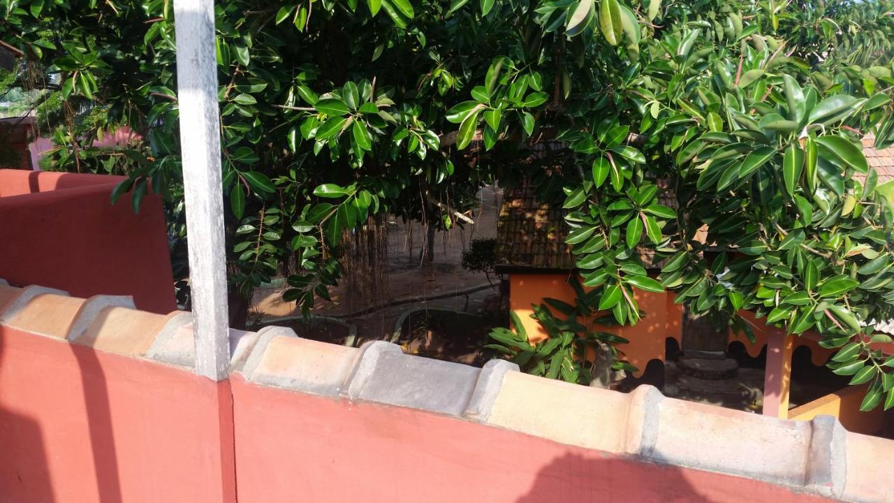 Big Milly'S Backyard Hotel Kokrobite Exterior photo
